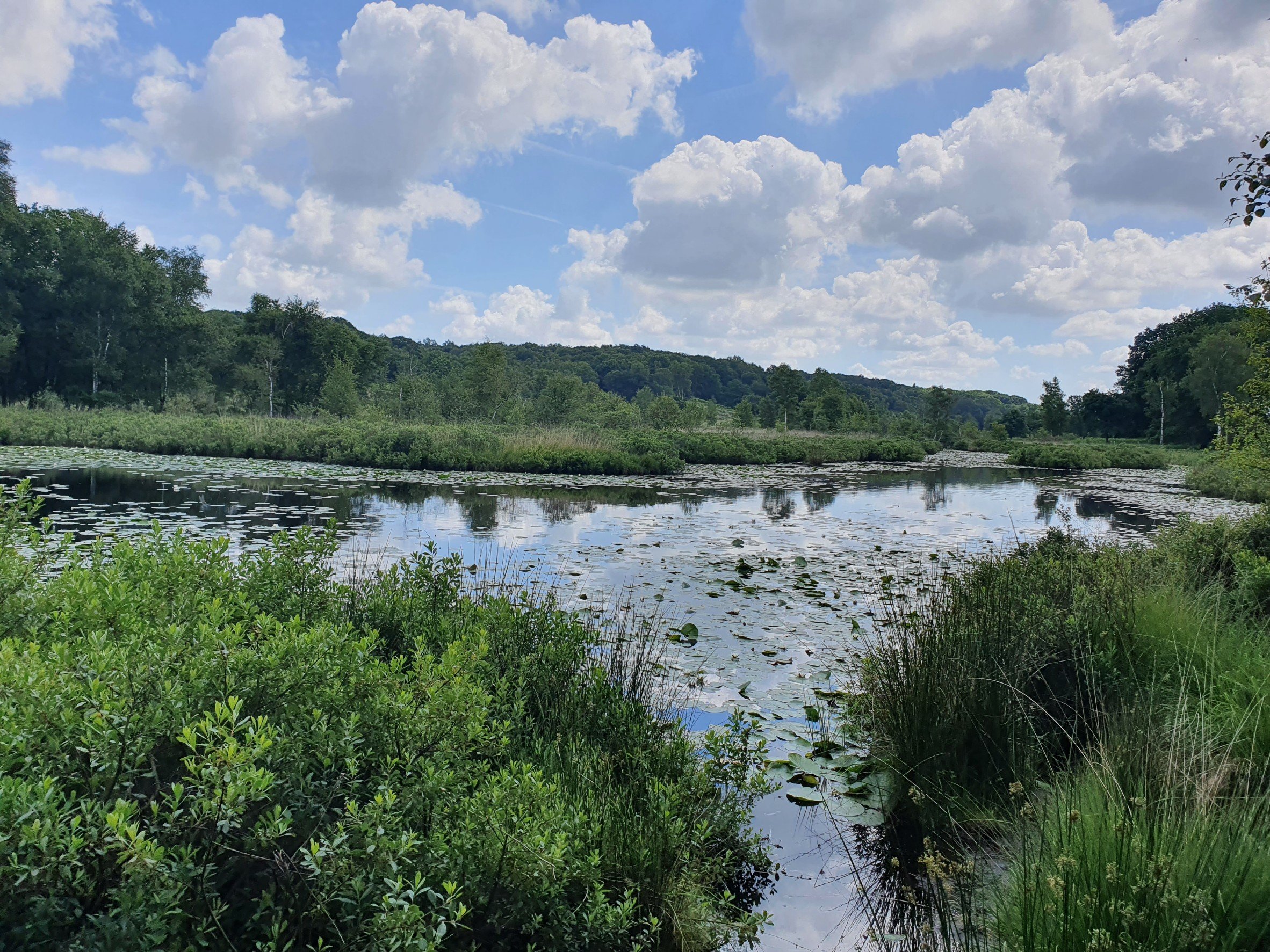 Nationaal Park de Meinweg